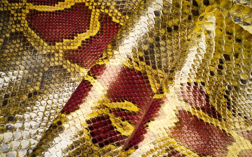 Tracciabilità avanzata per la filiera delle pelli esotiche